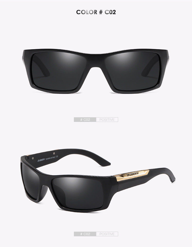 Two tones with accents and hard cases Sunglasses