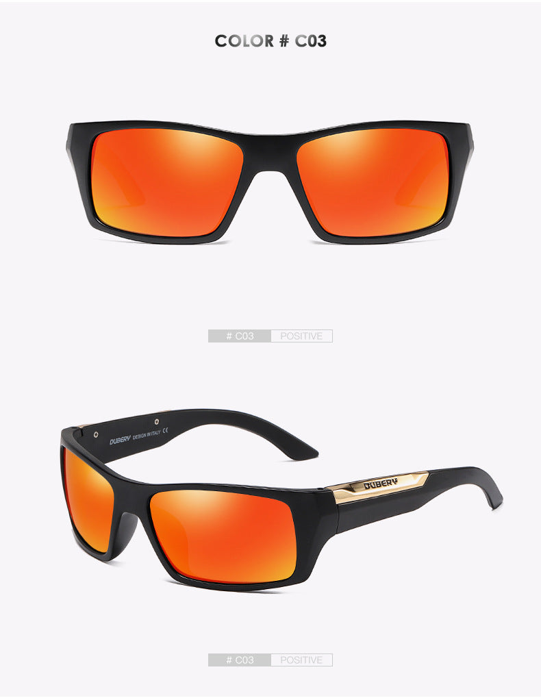 Two tones with accents and hard cases Sunglasses